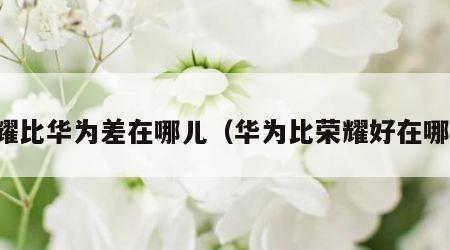 荣耀比华为差在哪儿（华为比荣耀好在哪里）