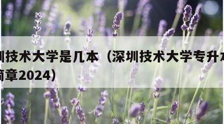 深圳技术大学是几本（深圳技术大学专升本招生简章2024）