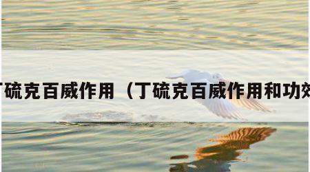 丁硫克百威作用（丁硫克百威作用和功效）