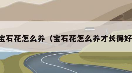 宝石花怎么养（宝石花怎么养才长得好）