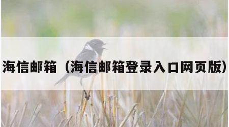 海信邮箱（海信邮箱登录入口网页版）