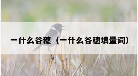 一什么谷穗（一什么谷穗填量词）