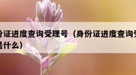 身份证进度查询受理号（身份证进度查询受理号是什么）