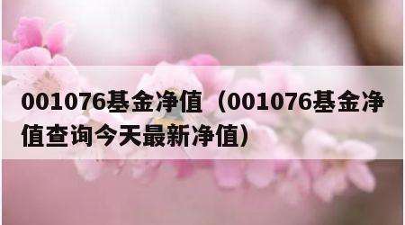 001076基金净值（001076基金净值查询今天最新净值）