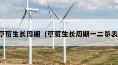 草莓生长周期（草莓生长周期一二览表）