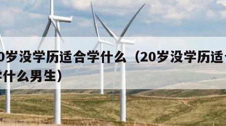 20岁没学历适合学什么（20岁没学历适合学什么男生）