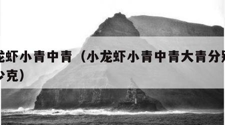 小龙虾小青中青（小龙虾小青中青大青分别是多少克）