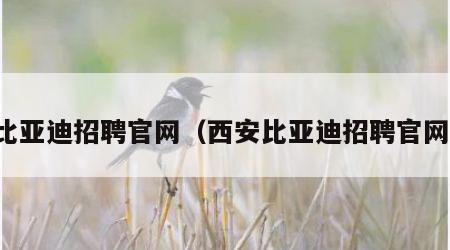 比亚迪招聘官网（西安比亚迪招聘官网）