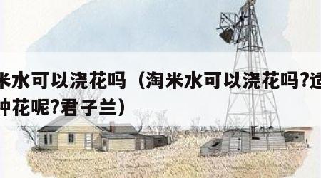 淘米水可以浇花吗（淘米水可以浇花吗?适合哪种花呢?君子兰）