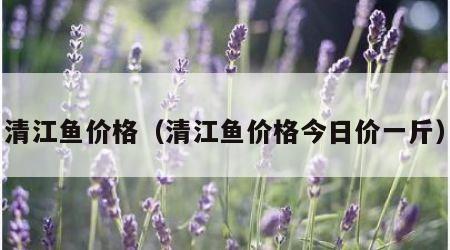 清江鱼价格（清江鱼价格今日价一斤）