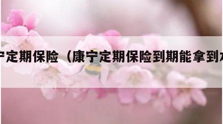 康宁定期保险（康宁定期保险到期能拿到本金吗）