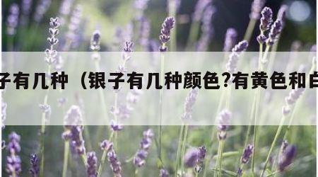 银子有几种（银子有几种颜色?有黄色和白色吗）