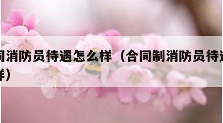 合同消防员待遇怎么样（合同制消防员待遇怎么样）