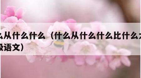什么从什么什么（什么从什么什么比什么大一年级语文）