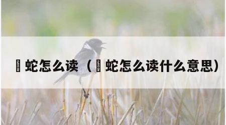 螣蛇怎么读（螣蛇怎么读什么意思）