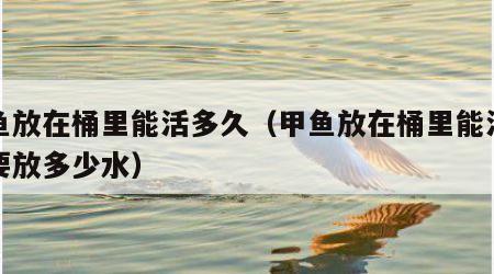甲鱼放在桶里能活多久（甲鱼放在桶里能活多久要放多少水）