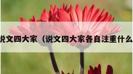 说文四大家（说文四大家各自注重什么）