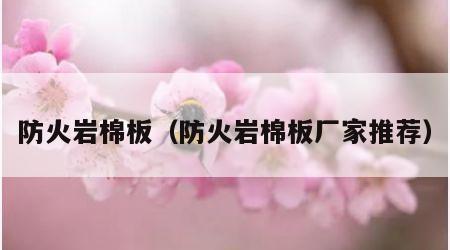 防火岩棉板（防火岩棉板厂家推荐）
