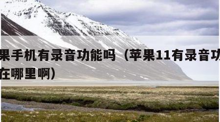 苹果手机有录音功能吗（苹果11有录音功能吗在哪里啊）