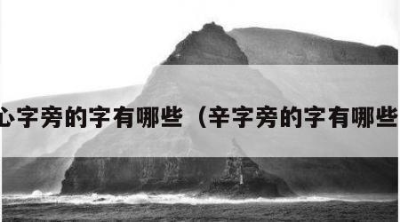 心字旁的字有哪些（辛字旁的字有哪些）