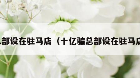 总部设在驻马店（十亿骗总部设在驻马店）