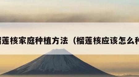 榴莲核家庭种植方法（榴莲核应该怎么种）