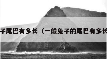 兔子尾巴有多长（一般兔子的尾巴有多长?）