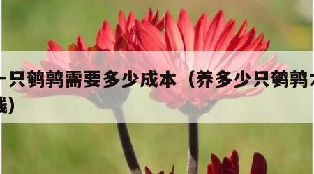 养一只鹌鹑需要多少成本（养多少只鹌鹑才能赚钱）