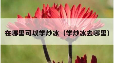 在哪里可以学炒冰（学炒冰去哪里）