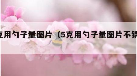 5克用勺子量图片（5克用勺子量图片不锈钢）