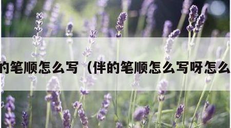 伴的笔顺怎么写（伴的笔顺怎么写呀怎么读）