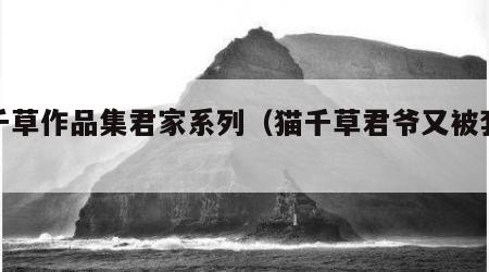 猫千草作品集君家系列（猫千草君爷又被套路了）