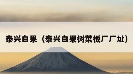 泰兴白果（泰兴白果树菜板厂厂址）