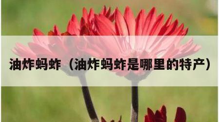 油炸蚂蚱（油炸蚂蚱是哪里的特产）