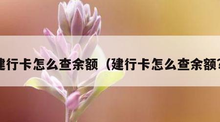 建行卡怎么查余额（建行卡怎么查余额?）