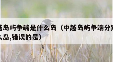中越岛屿争端是什么岛（中越岛屿争端分别是什么岛,错误的是）