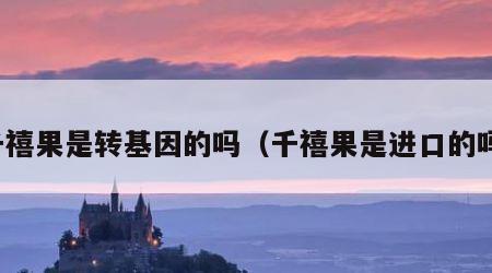千禧果是转基因的吗（千禧果是进口的吗）