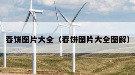 春饼图片大全（春饼图片大全图解）