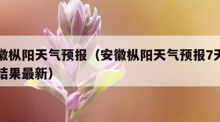 安徽枞阳天气预报（安徽枞阳天气预报7天查询结果最新）