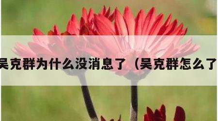 吴克群为什么没消息了（吴克群怎么了）