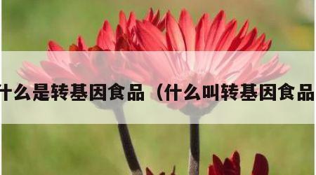 什么是转基因食品（什么叫转基因食品）