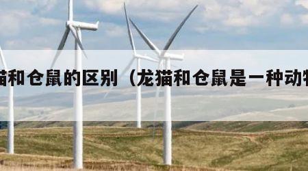 龙猫和仓鼠的区别（龙猫和仓鼠是一种动物吗）