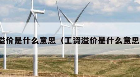 溢价是什么意思（工资溢价是什么意思）