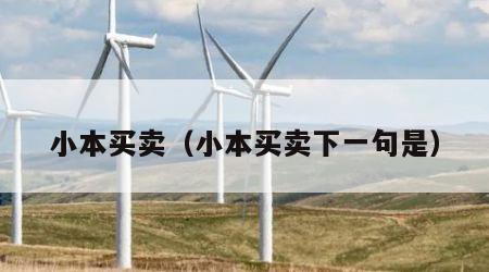 小本买卖（小本买卖下一句是）