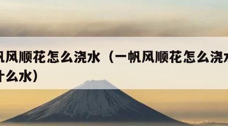 一帆风顺花怎么浇水（一帆风顺花怎么浇水啊浇什么水）