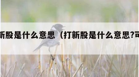 打新股是什么意思（打新股是什么意思?可靠吗）