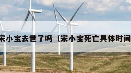 宋小宝去世了吗（宋小宝死亡具体时间）