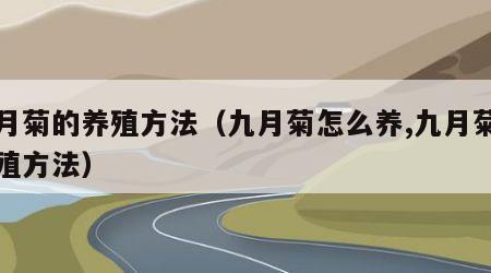 九月菊的养殖方法（九月菊怎么养,九月菊的养殖方法）