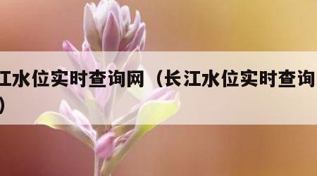 长江水位实时查询网（长江水位实时查询网app）