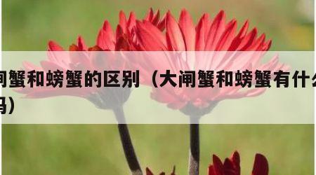 大闸蟹和螃蟹的区别（大闸蟹和螃蟹有什么区别吗）
